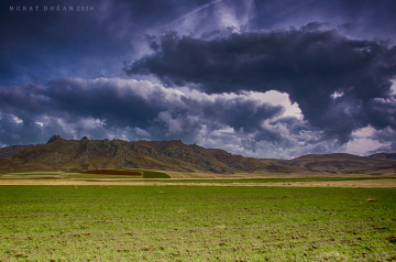 DOĞA