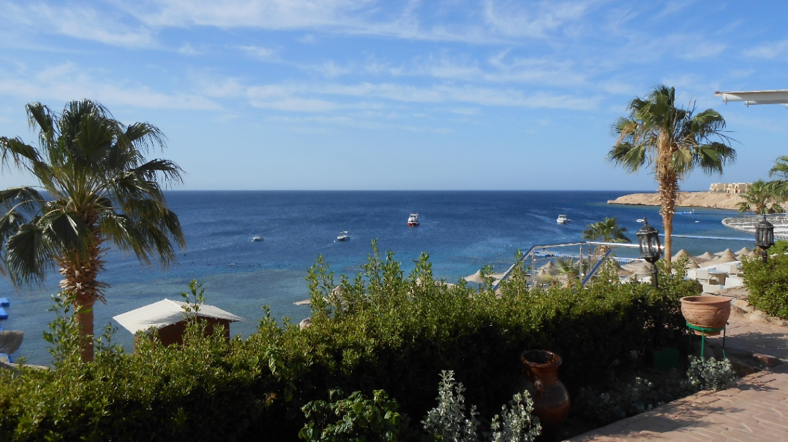 Egypt - Sharm alsheikh