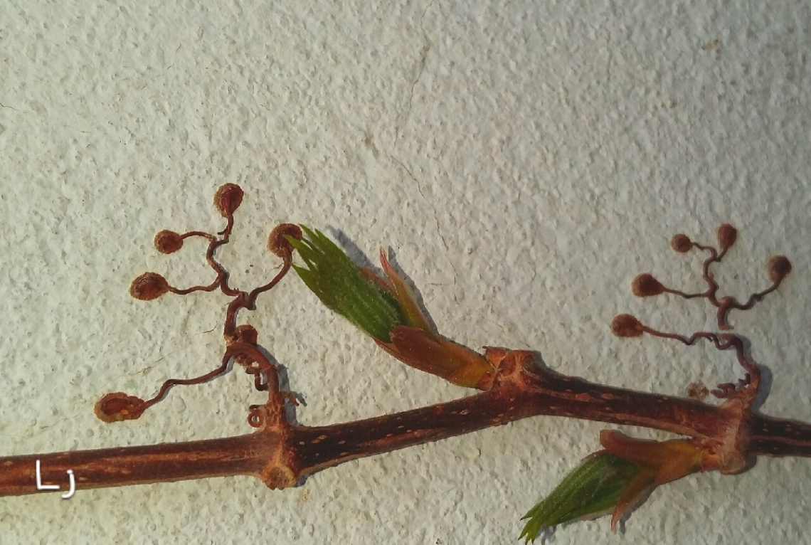 Spring is Here....