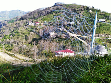 Ağ ve arka planındakiler