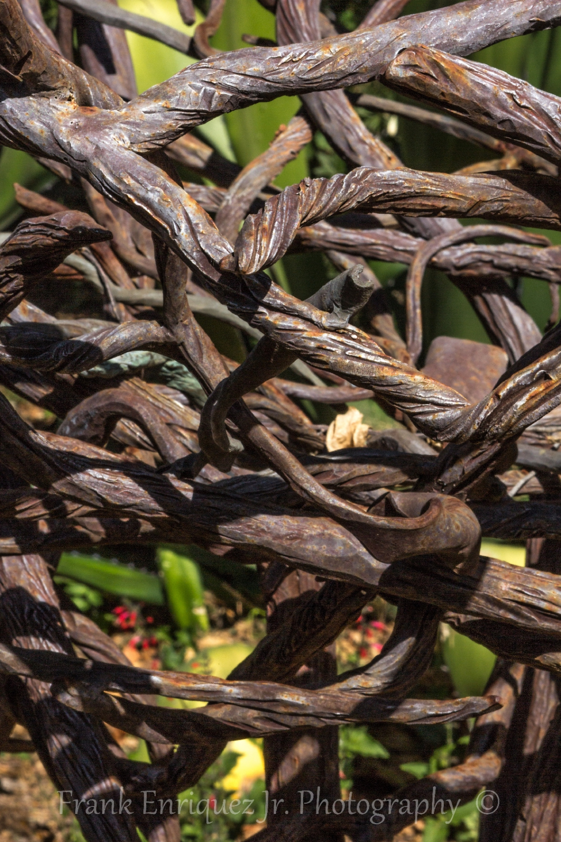 Iron Wood Maybe