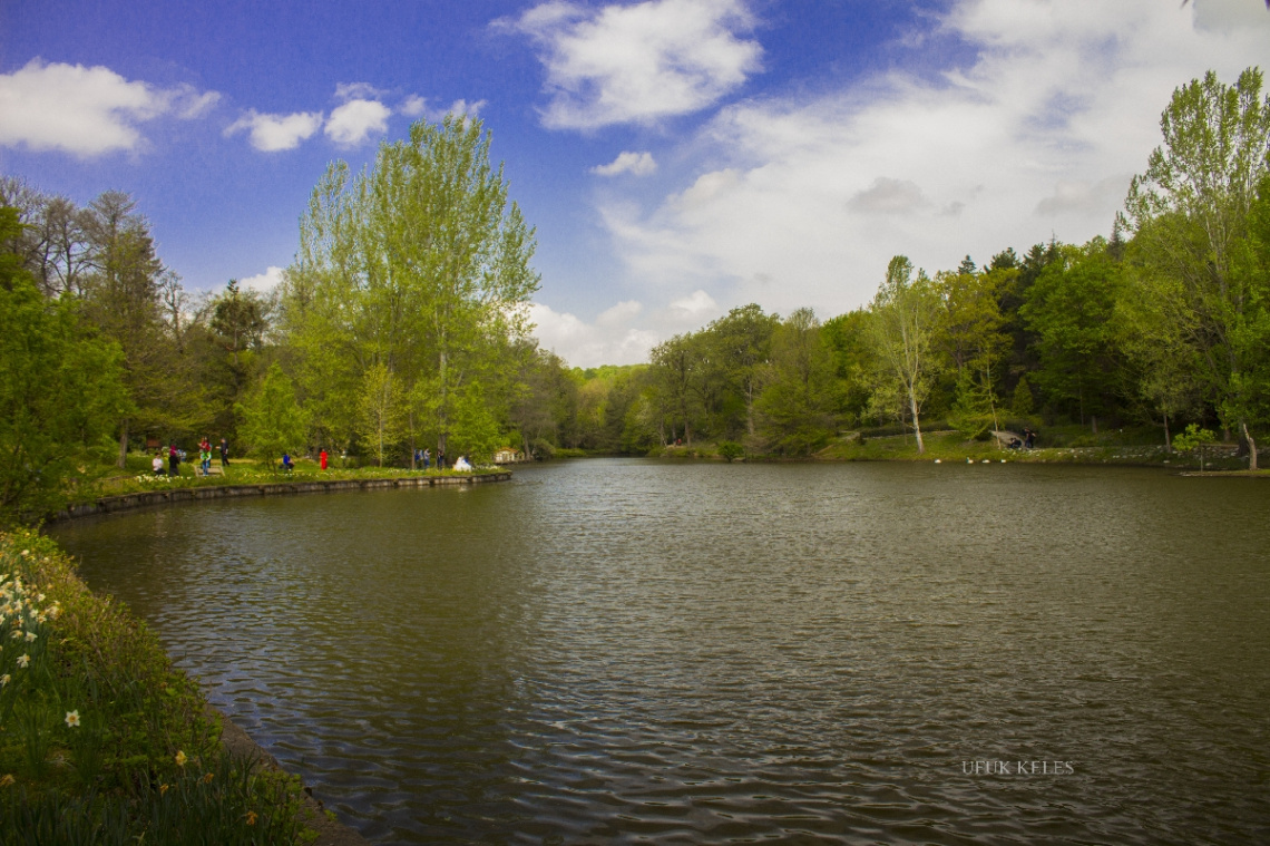 Atatürk Arboretumu