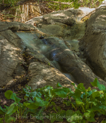 Tohono Chul Brook
