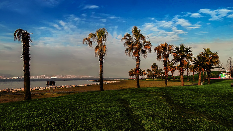 Seka Park