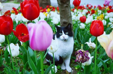 İyi Haftalar :)