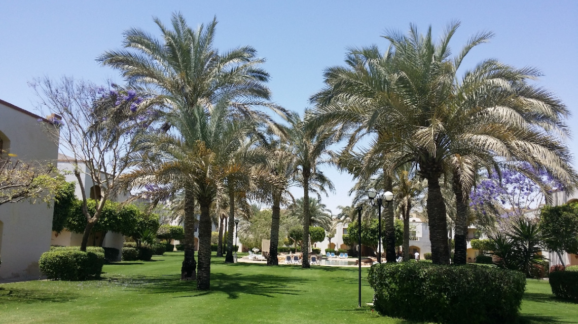 Egypt - Alain alsokhna