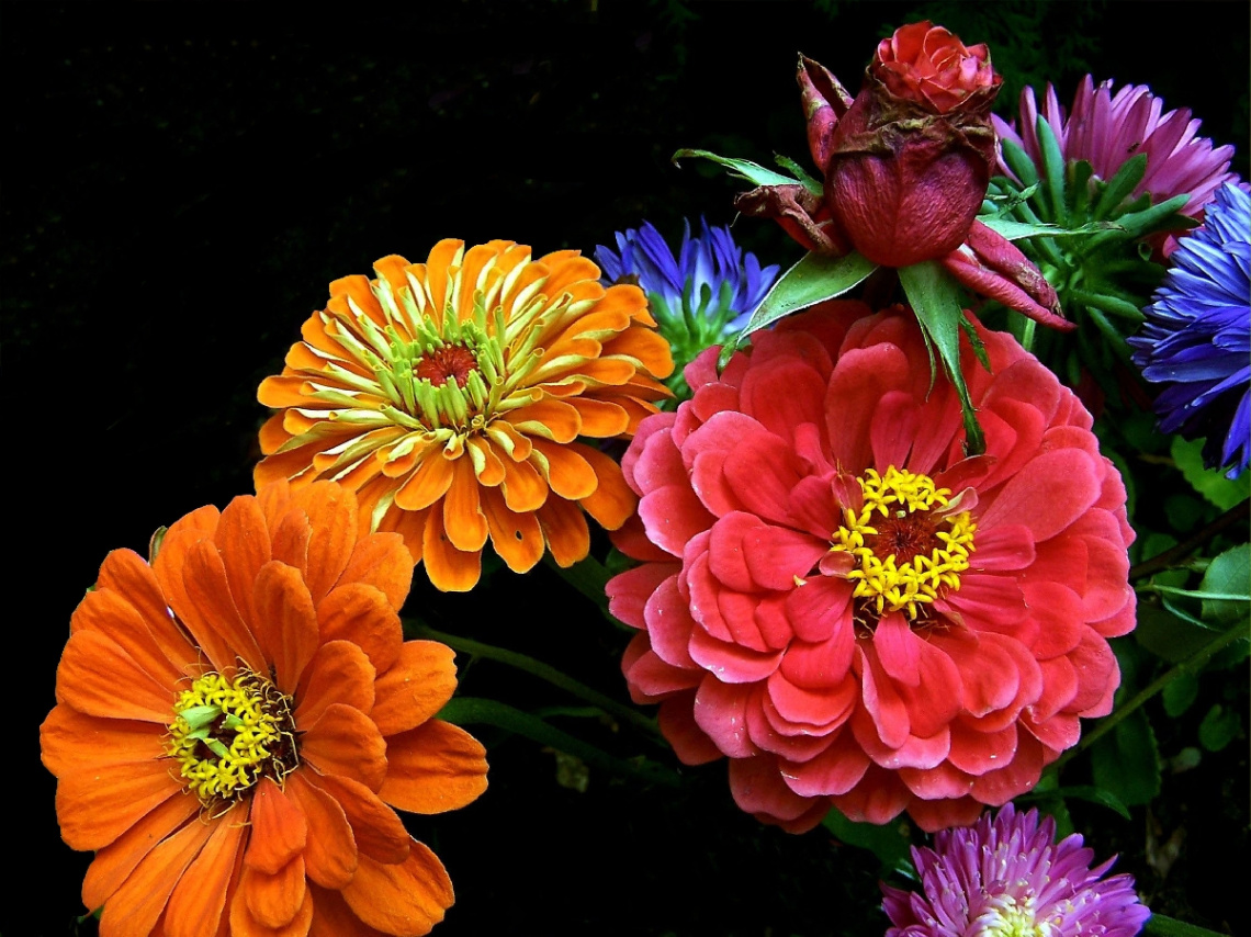 blumenstrauss 