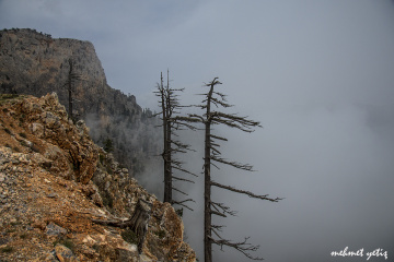 doğadan