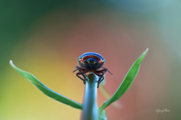 face to face