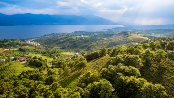 Sapanca