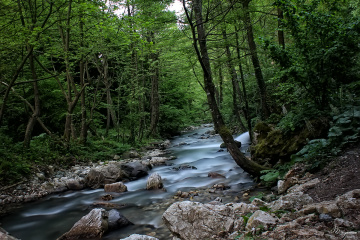 Yuvacık ta bir dere
