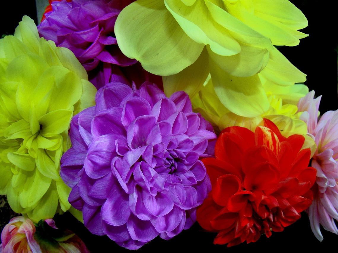 blumenstrauss.