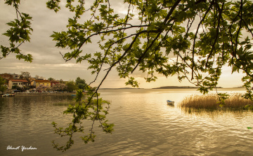 Gölyazı