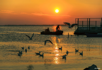 İskeleye Dönüş..