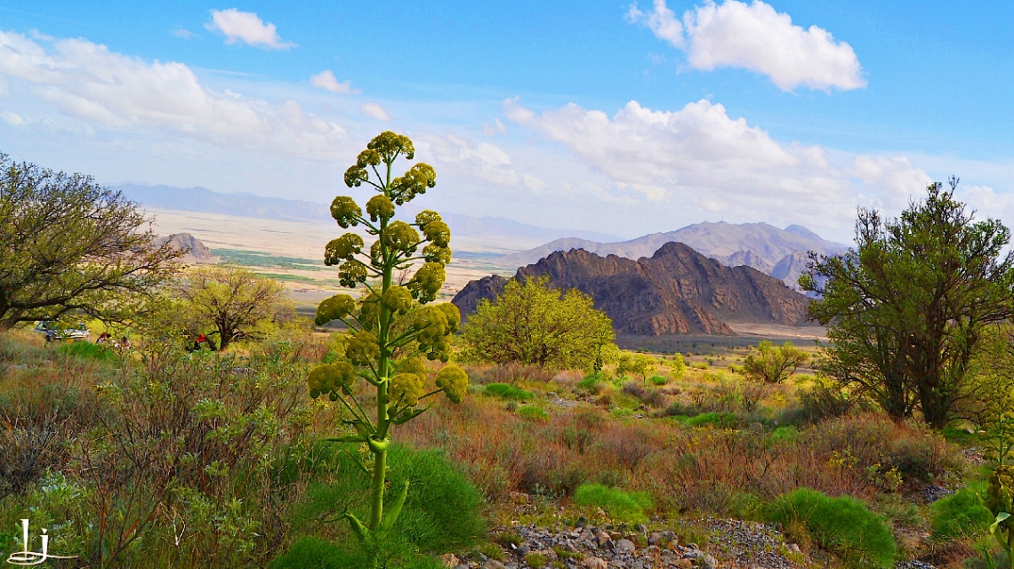 our Chiltan valley