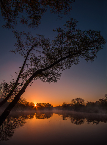 Foggy Sunrise