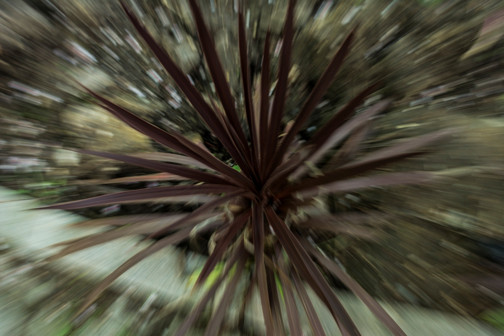 Zoom in-zoom out