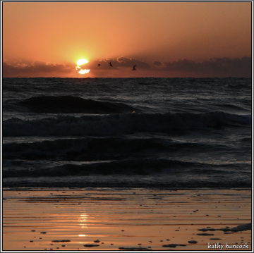 Sunrise Daytona Beach