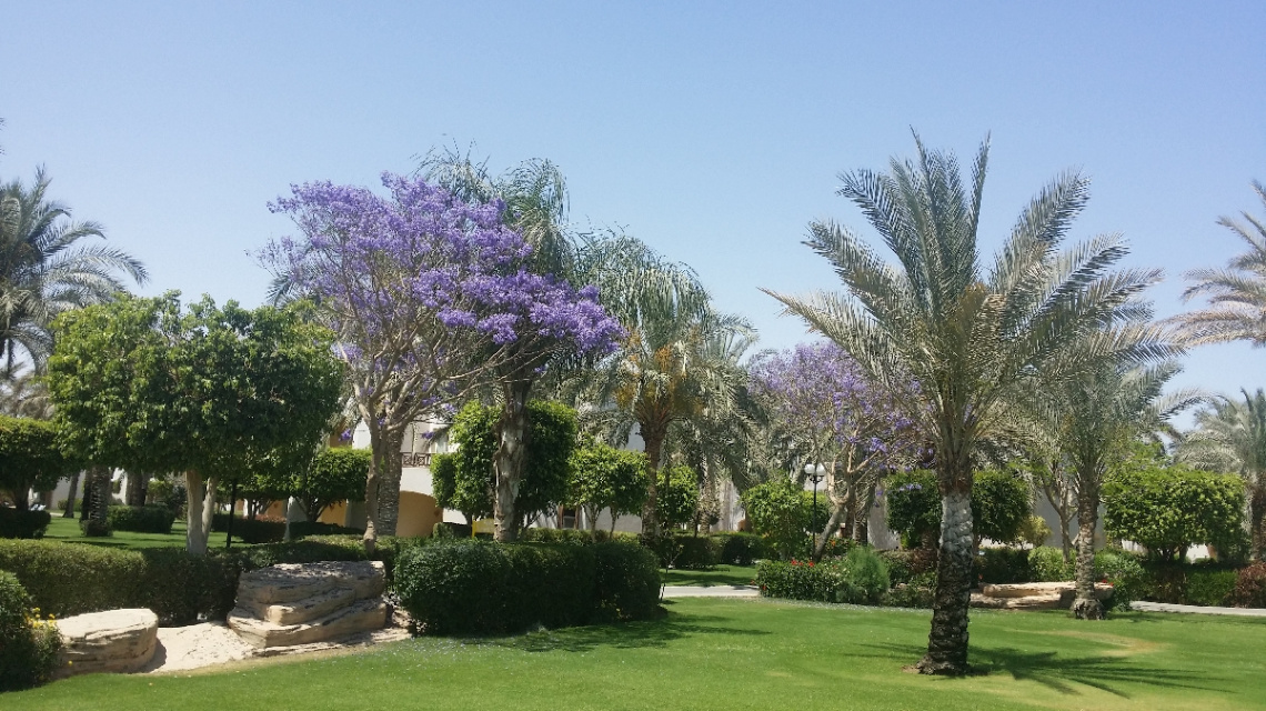 Egypt - Alain alsokhna