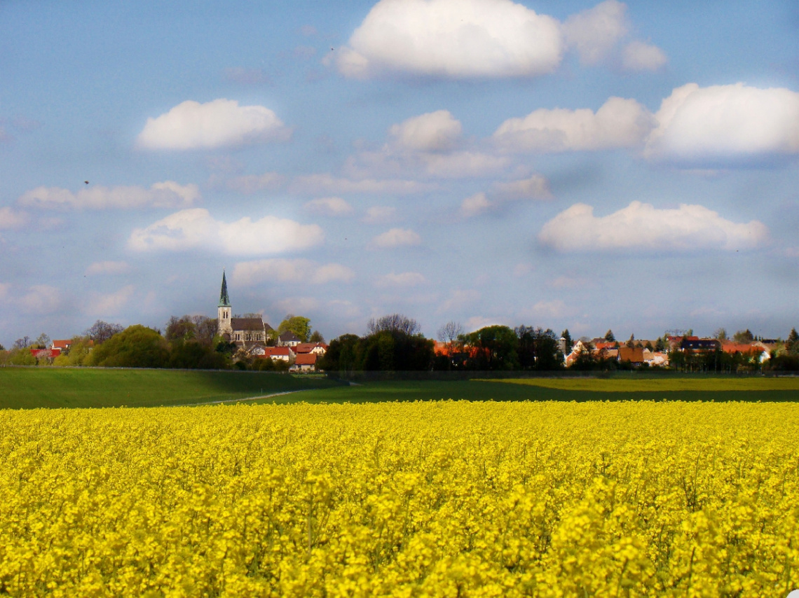 rapsfeld