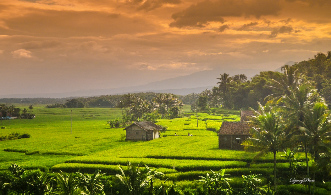 Houses and fields