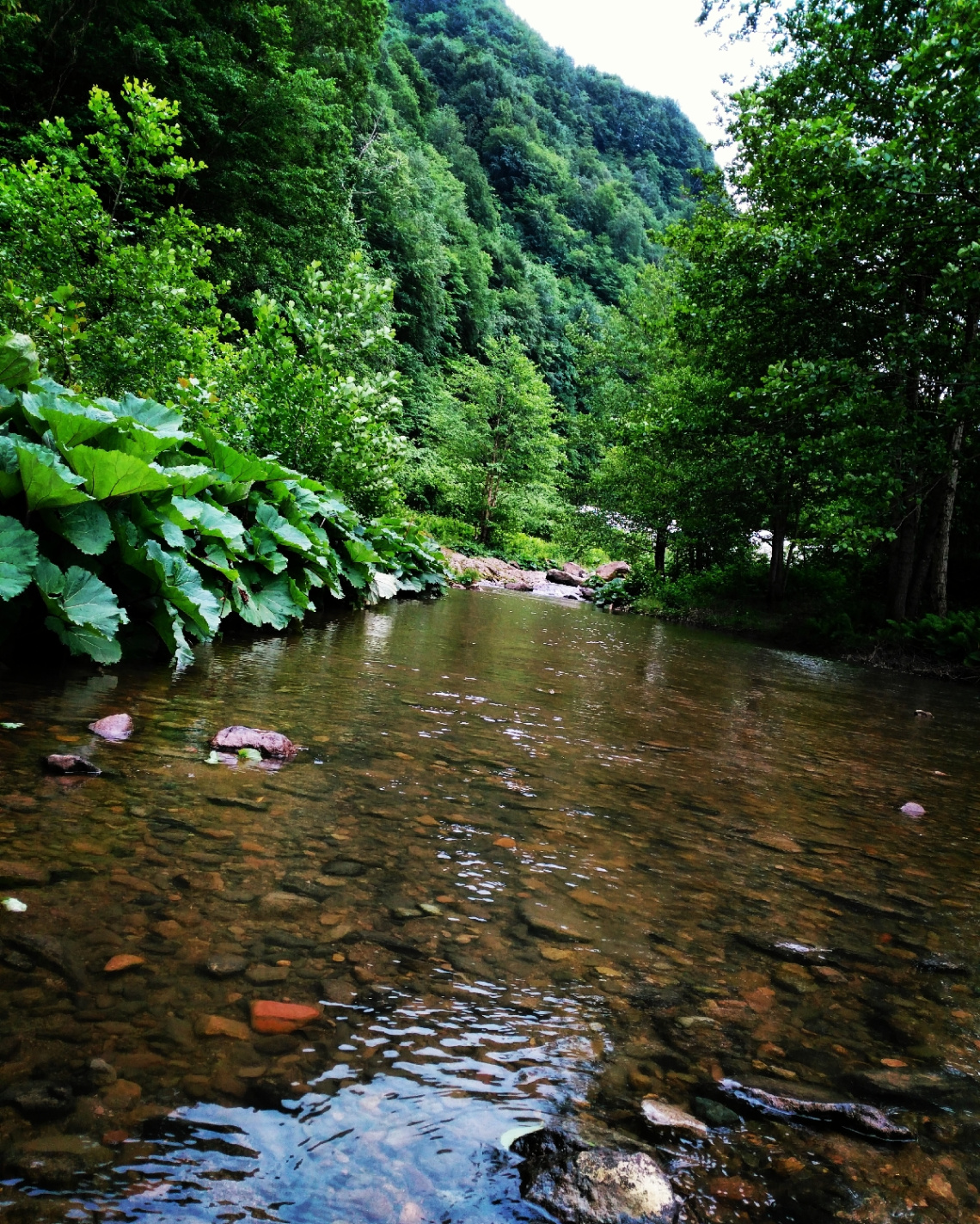 Akçaova ırmağı/ordu