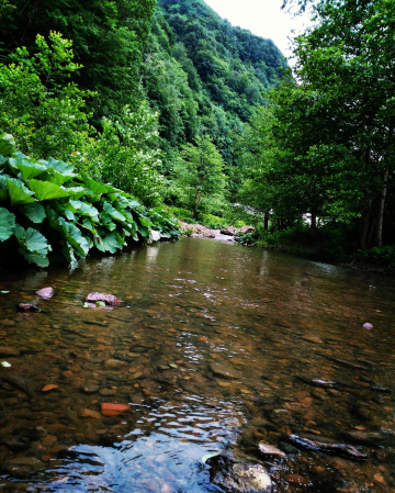 Akçaova ırmağı/ordu