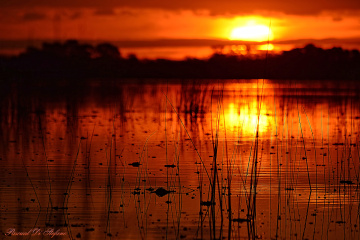 Water in flames