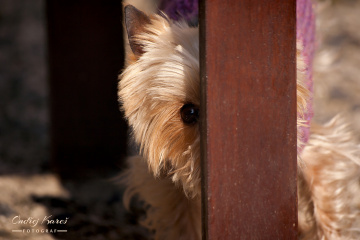 Find me!