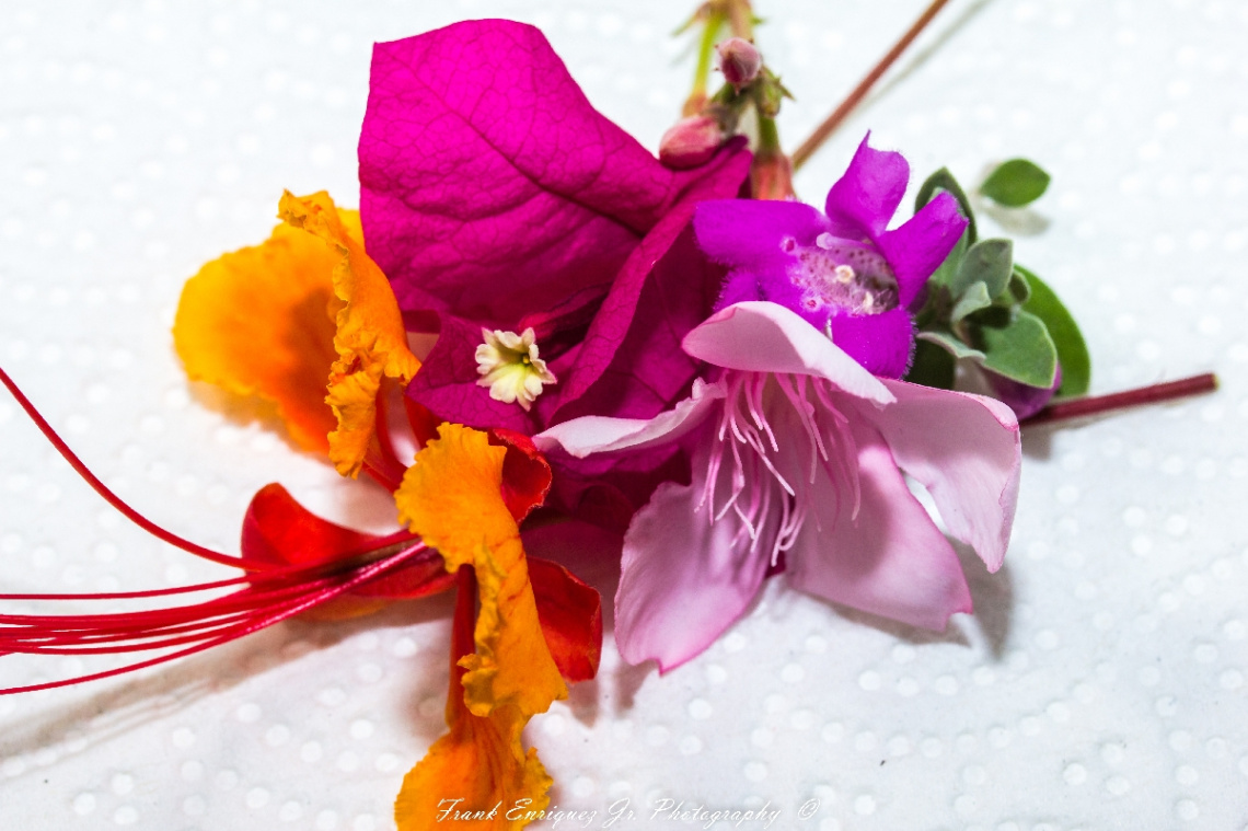 Small Sonoran Desert Bouquet Of Desert Colors