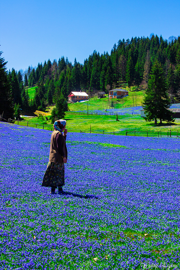 ''''''''''''''''MAVİ'''''''''''''''''