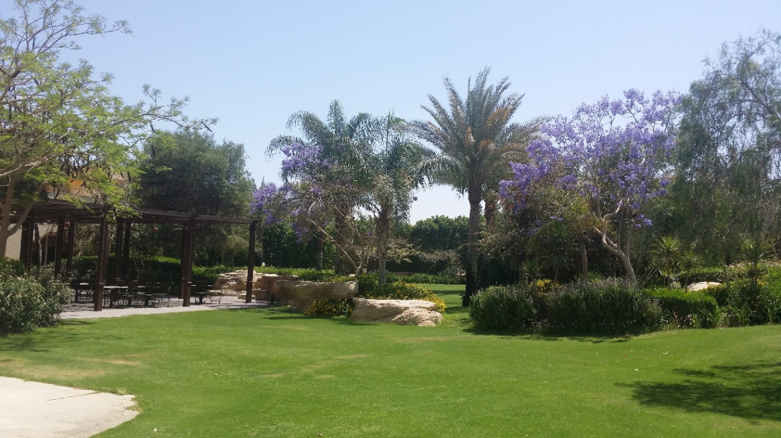 Egypt - Alain alsokhna