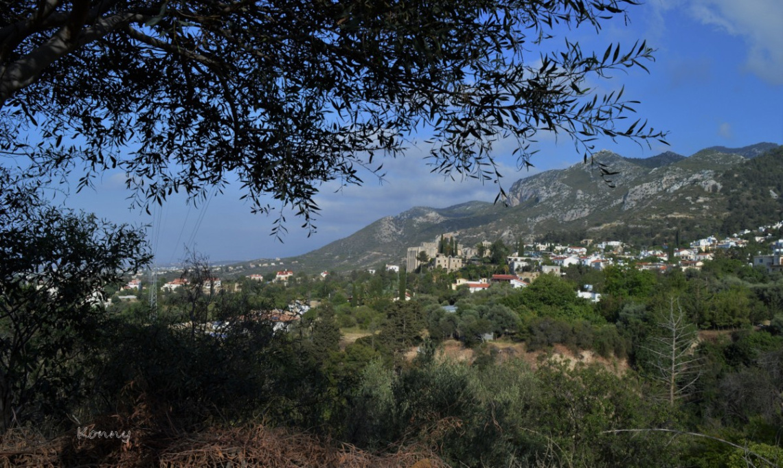 Bellapais Cyprus 