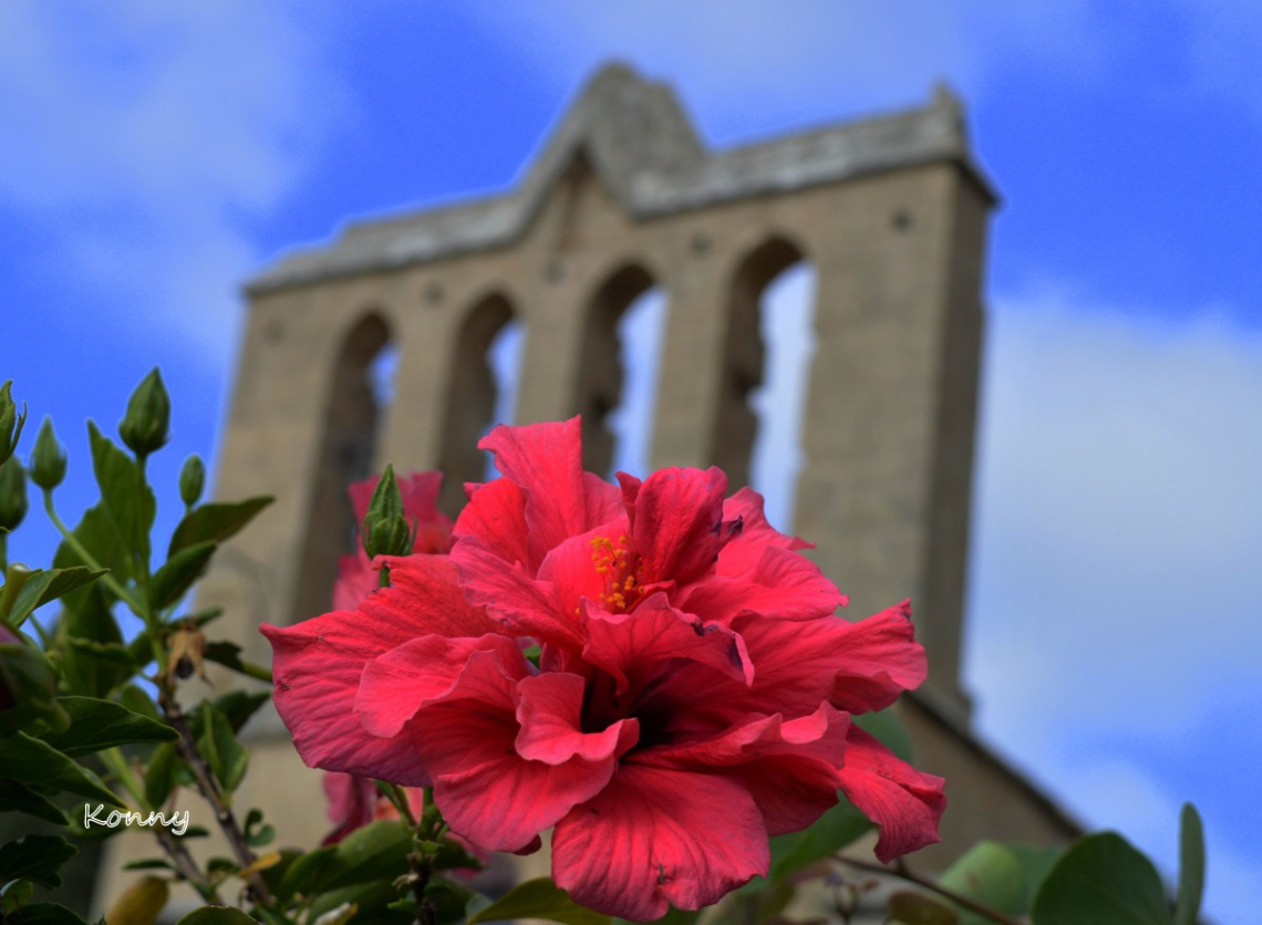 Bellapais Cyprus.. 