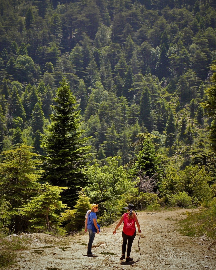 Lebanon 