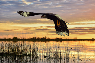 On the lagoon
