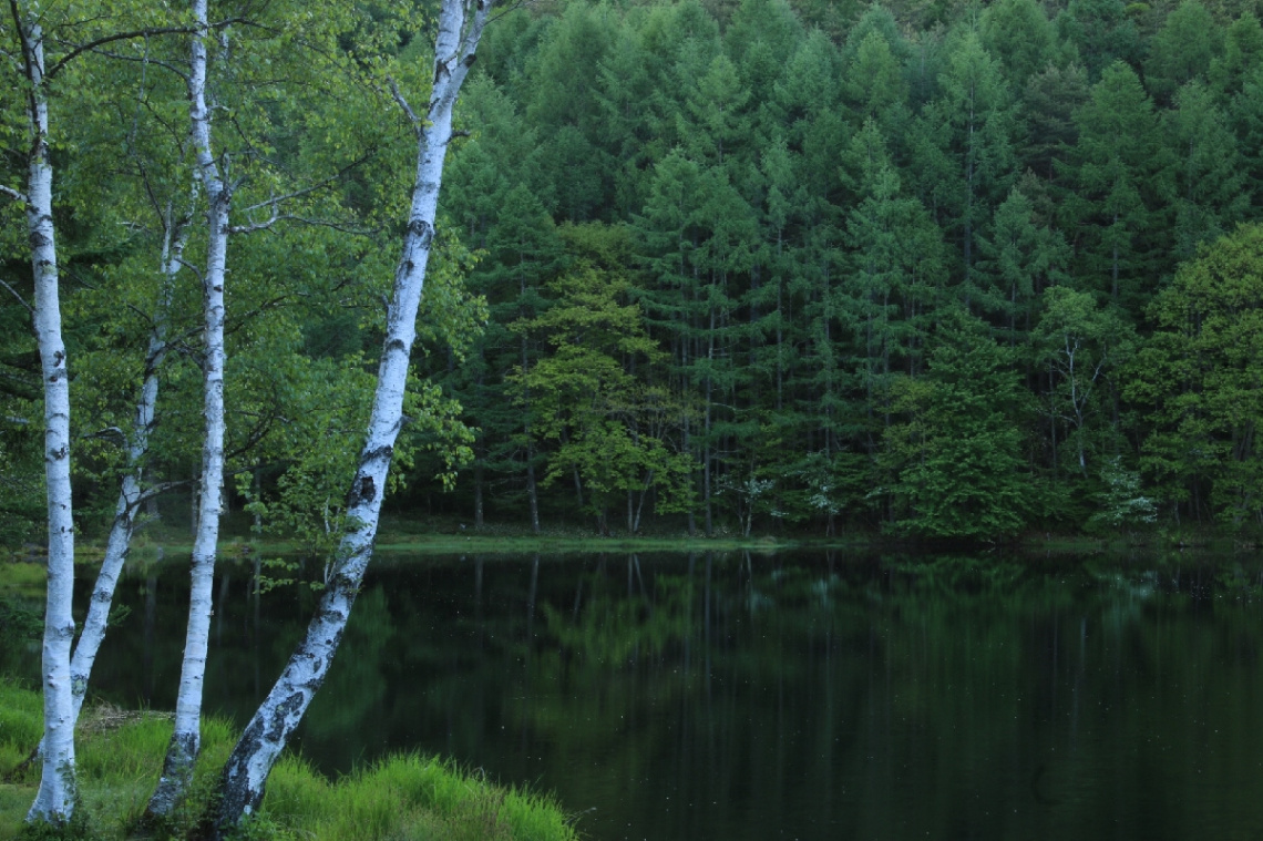 silent morning…