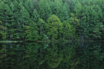 deep green