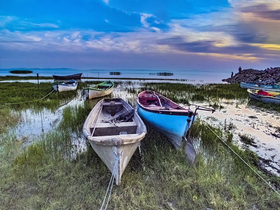 Bandırma Kuş Cennetinden III