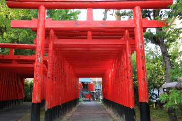 gateway into shrine