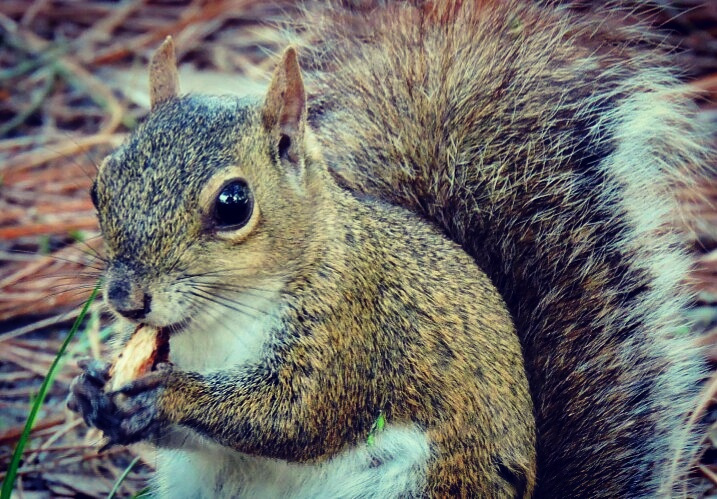 Snack Time