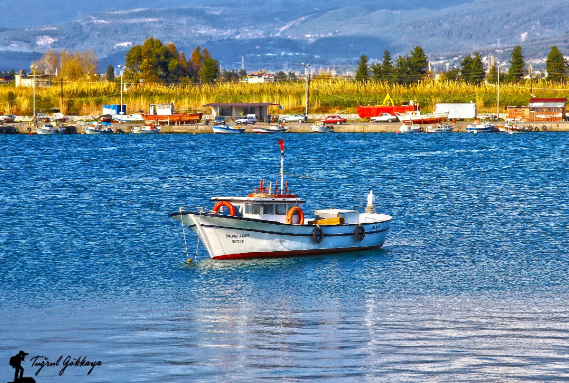 Yalnız Adam