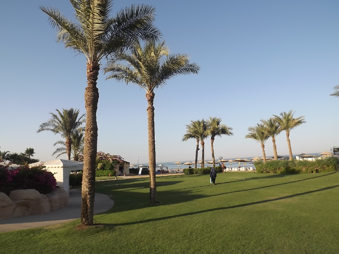 Egypt - Alain alsokhna