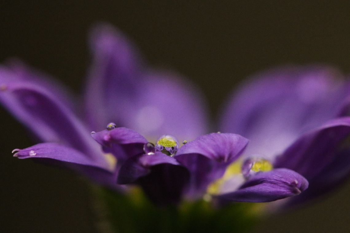 water drops