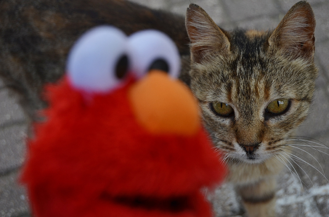 Selfie :)
