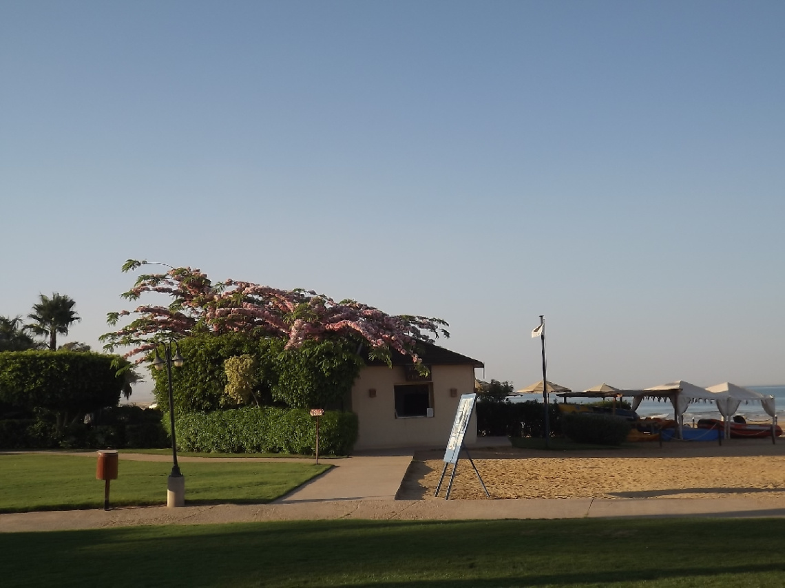 Egypt - Alain alsokhna