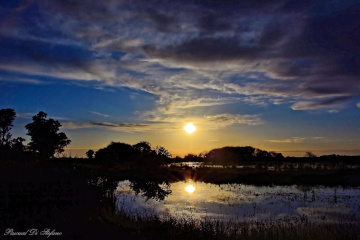 Water & sky II