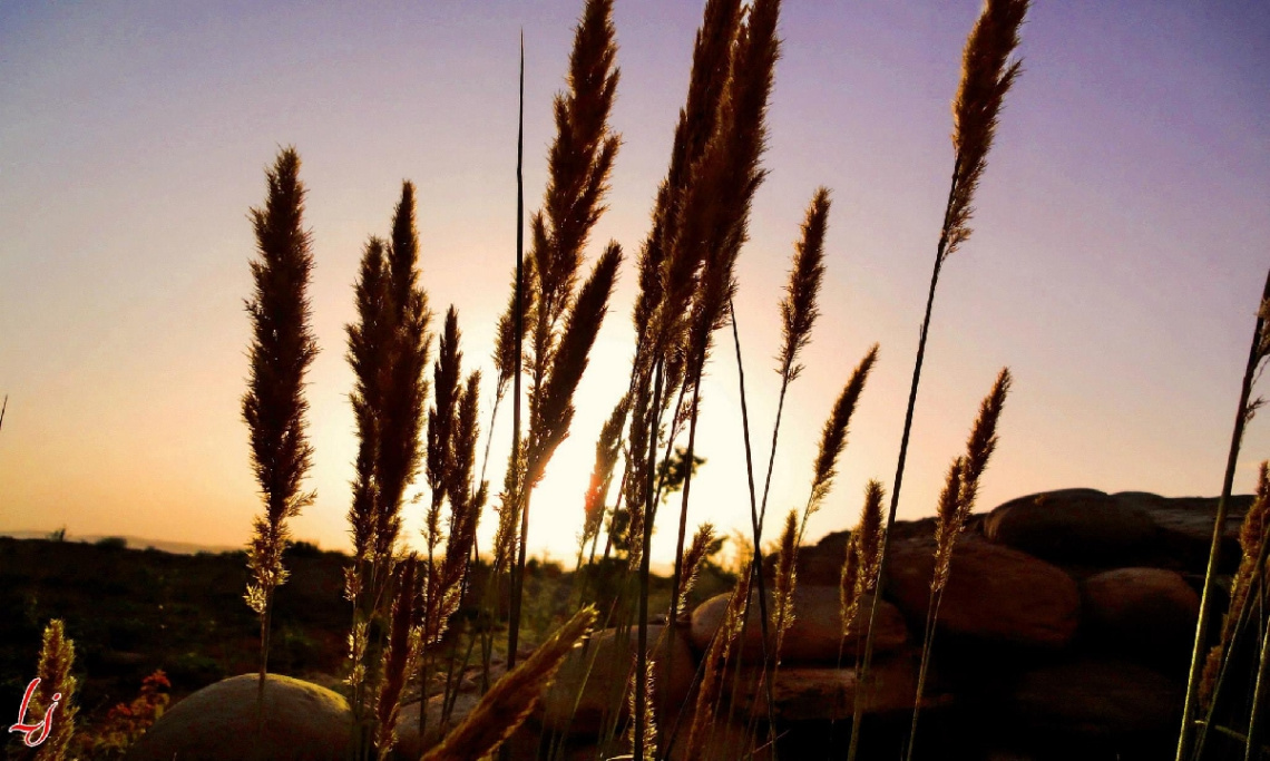 Sunset at my village
