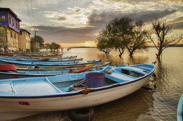 Gölyazı