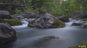 doğadan